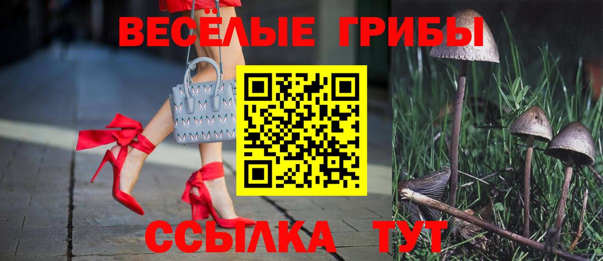 Псилоцибиновые грибы Magic Shrooms Полысаево